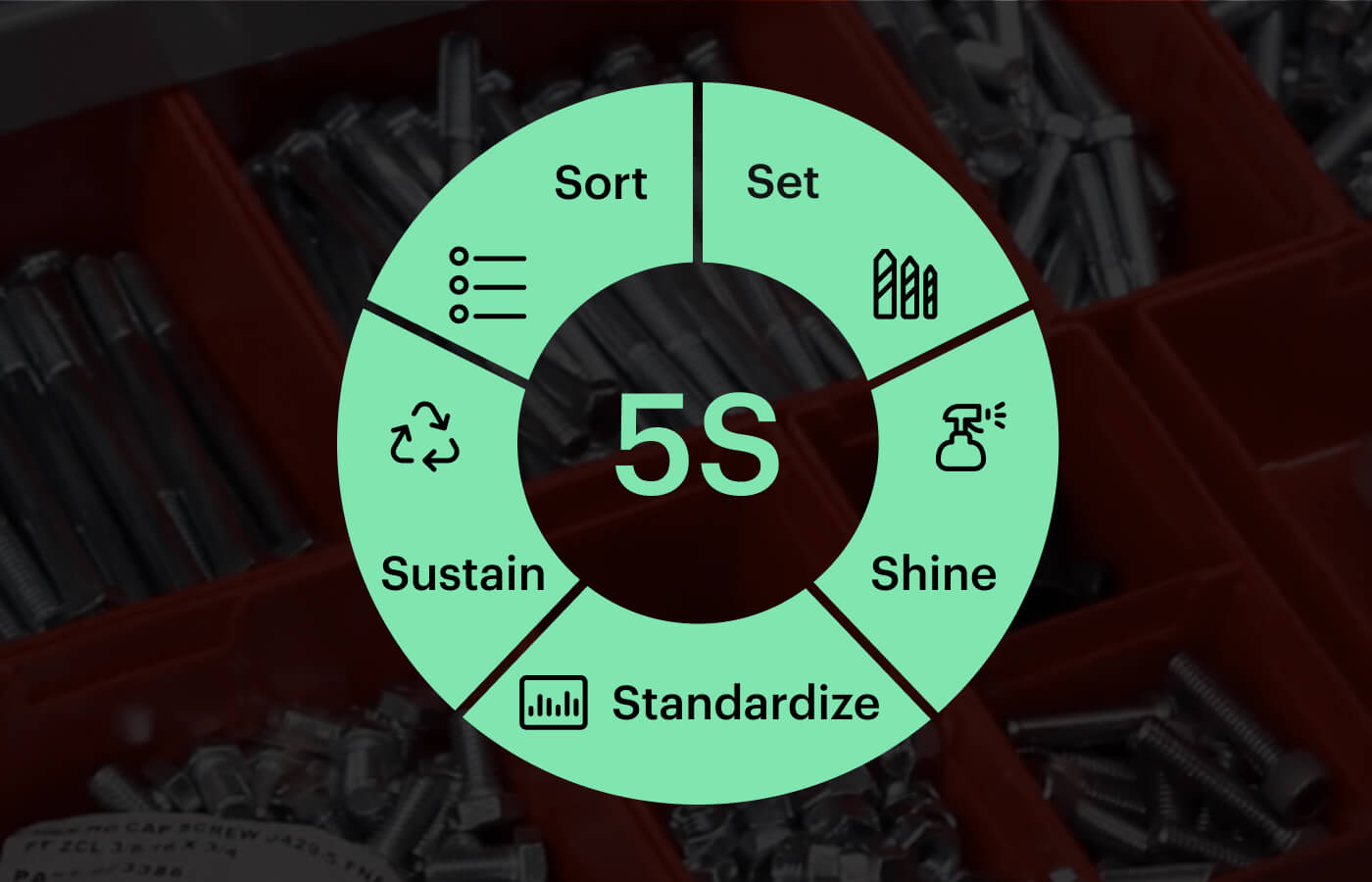 5s wheel visual