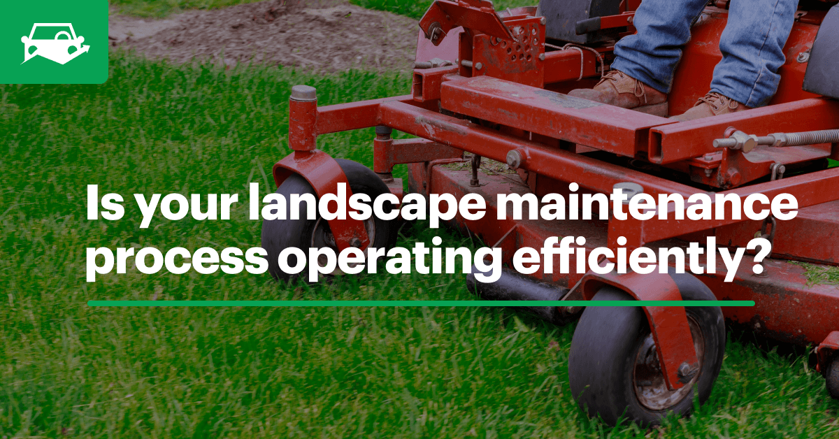 Landscape maintenance visual blog