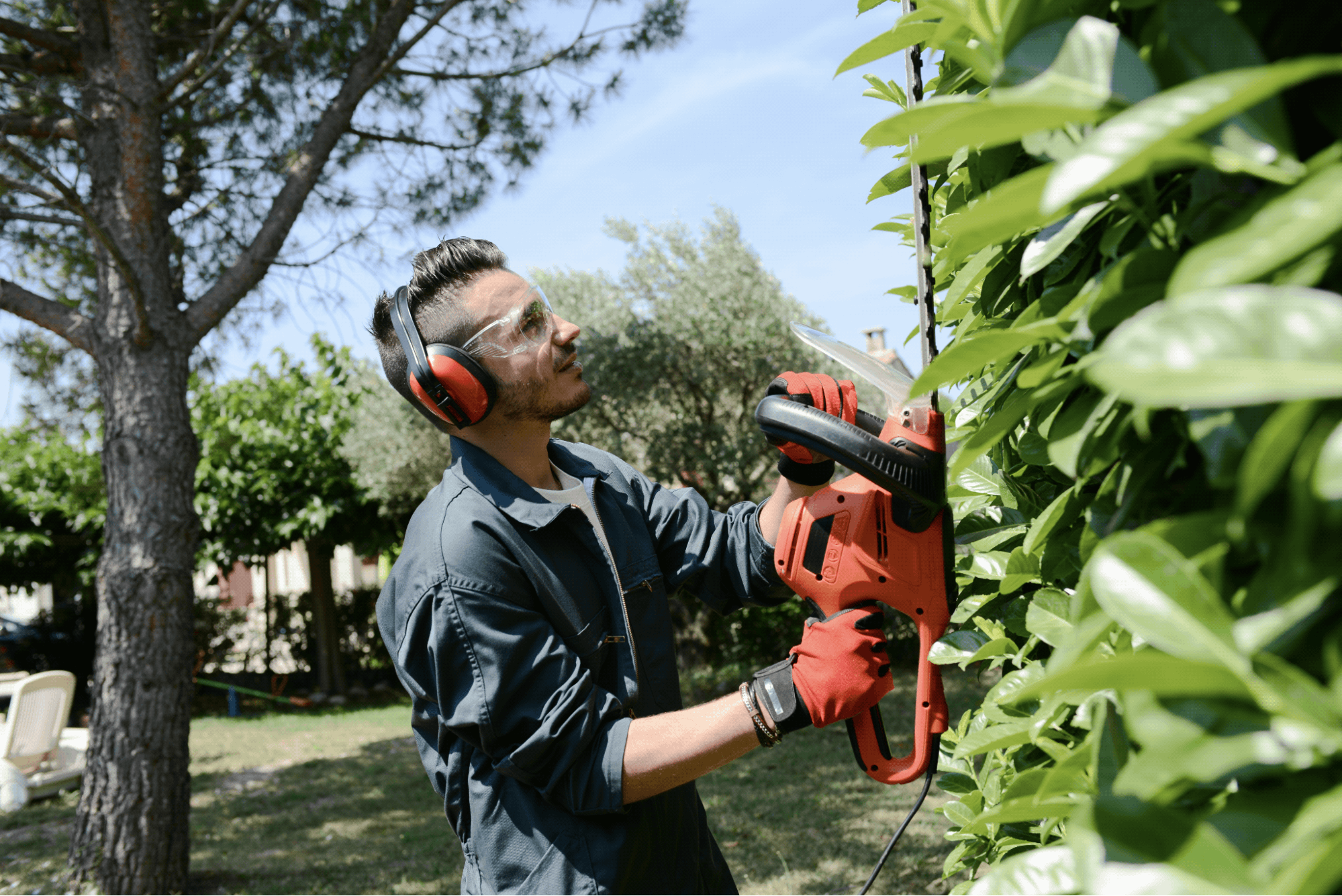 Prep bushes