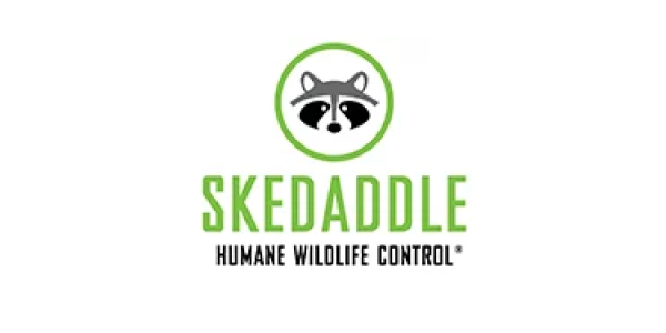 Skedaddle